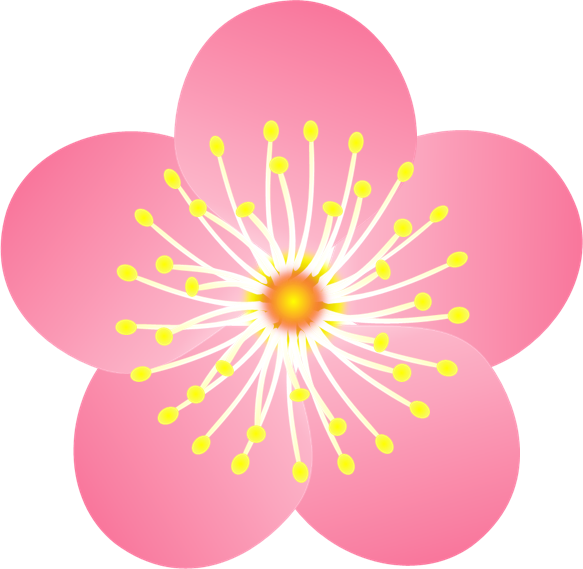 梅の花